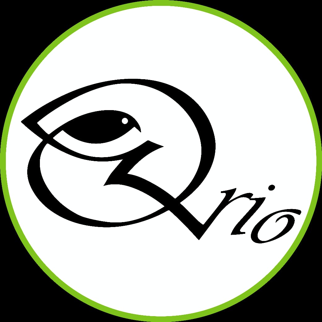 The Qrio